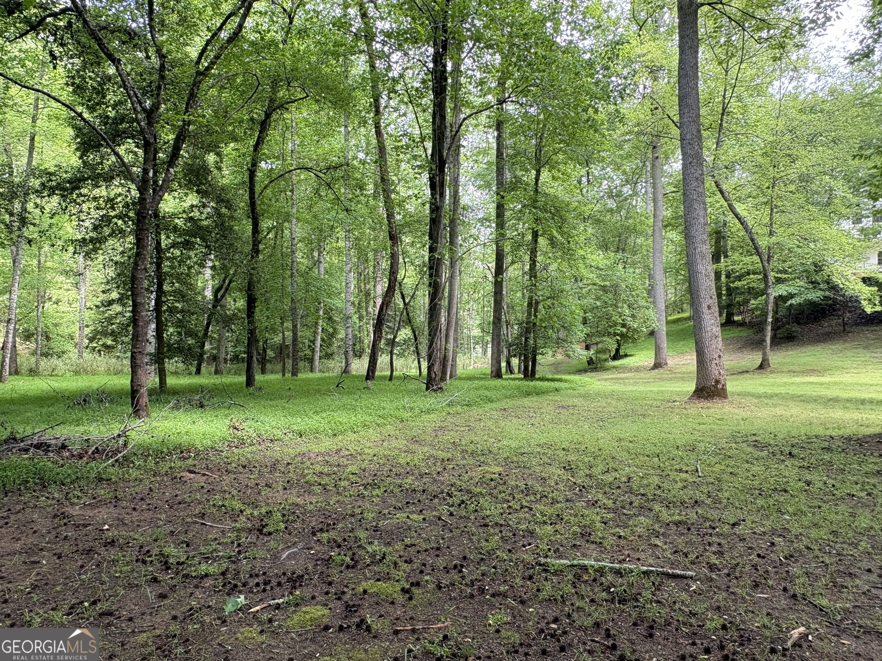 534 Soque Trail Demorest GA 30535