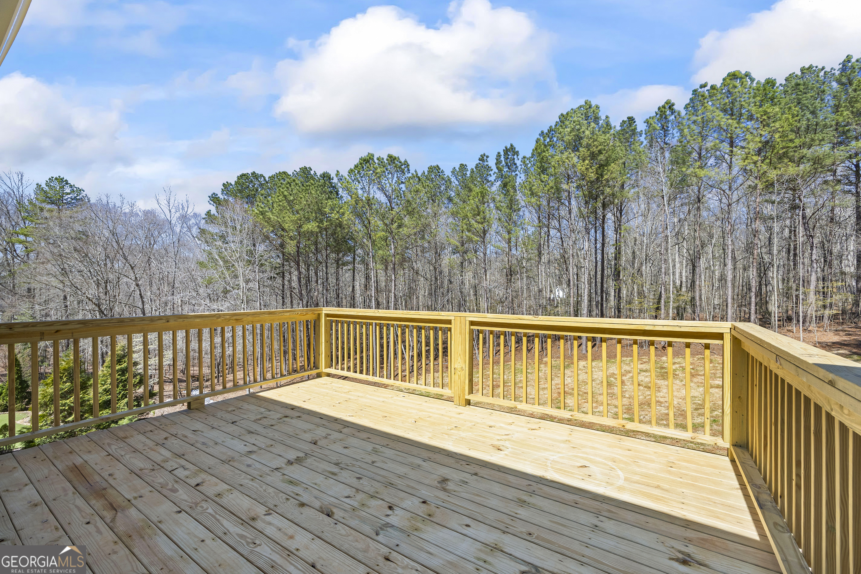 1229 Morgans Run Monroe GA 30656