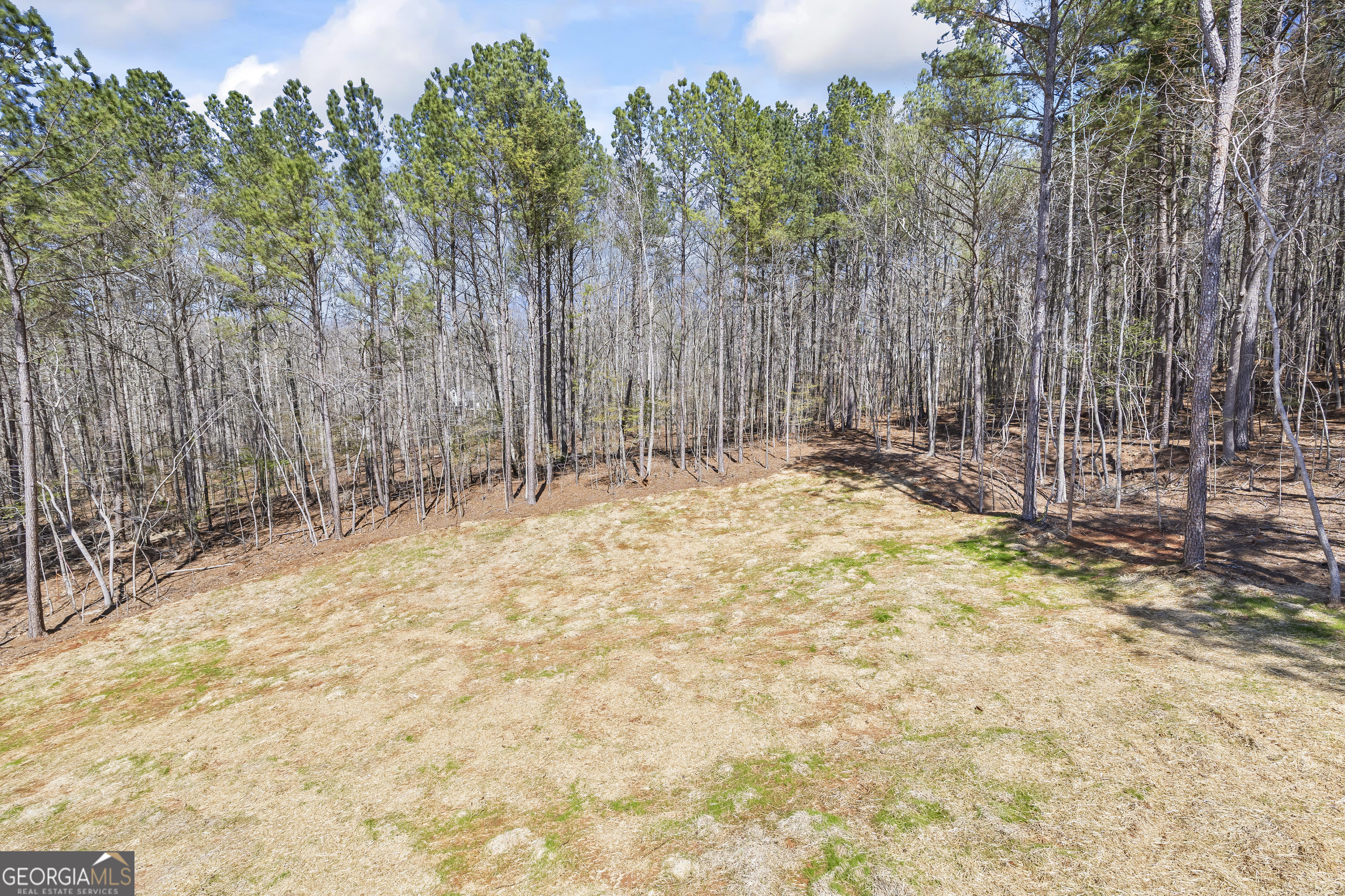 1229 Morgans Run Monroe GA 30656