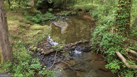 110 Seye Wailo Trail Clarkesville GA 30523
