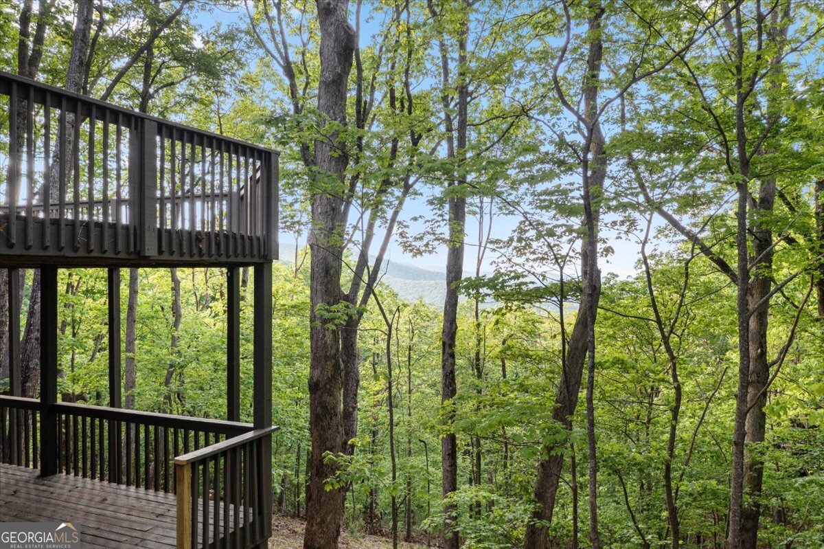 40 Sanderlin Mtn Drive Jasper GA 30143