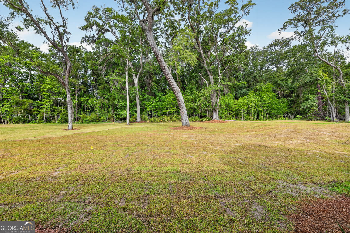 172 Old Wharf Road Brunswick GA 31523