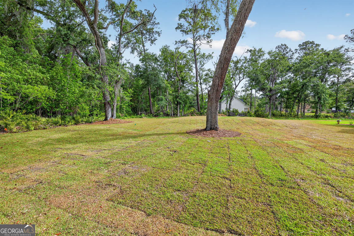 172 Old Wharf Road Brunswick GA 31523