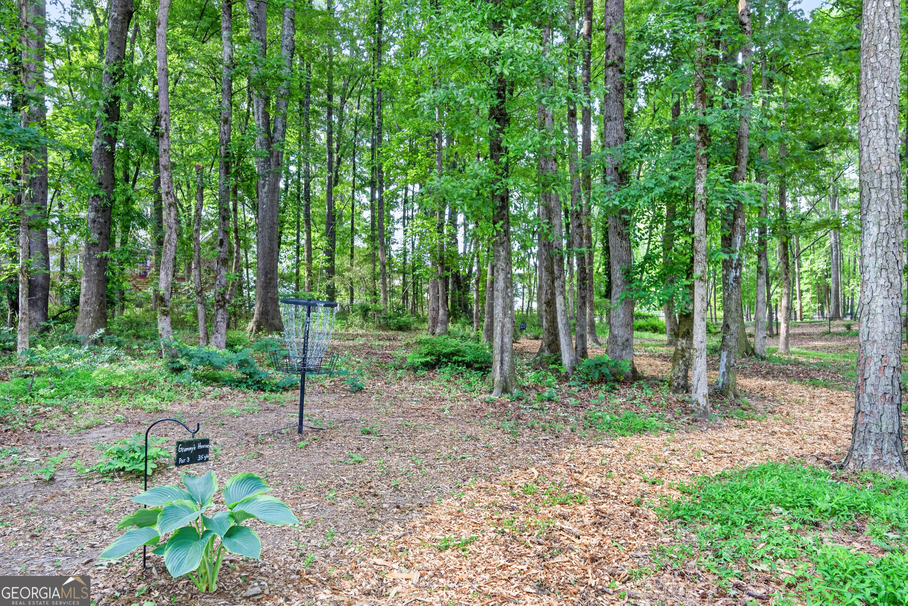 245 Ryans Court Sharpsburg GA 30277