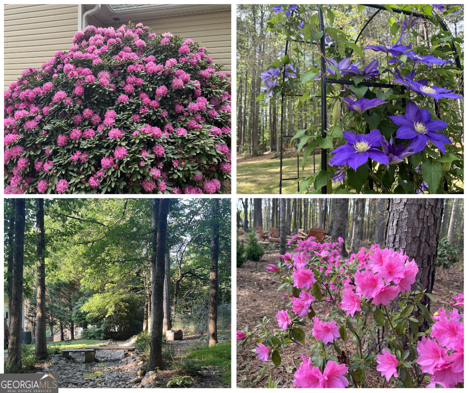 245 Ryans Court Sharpsburg GA 30277