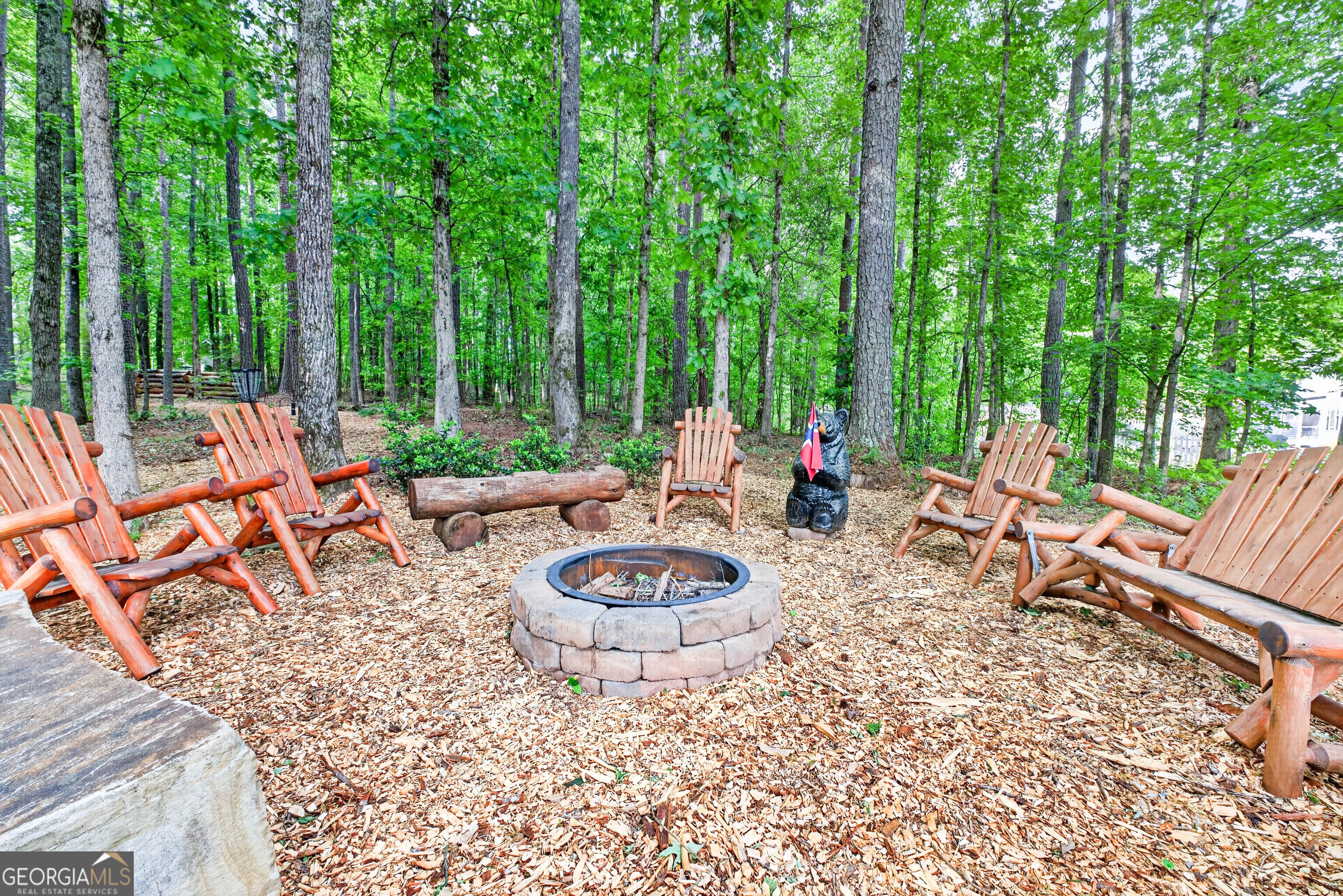 245 Ryans Court Sharpsburg GA 30277