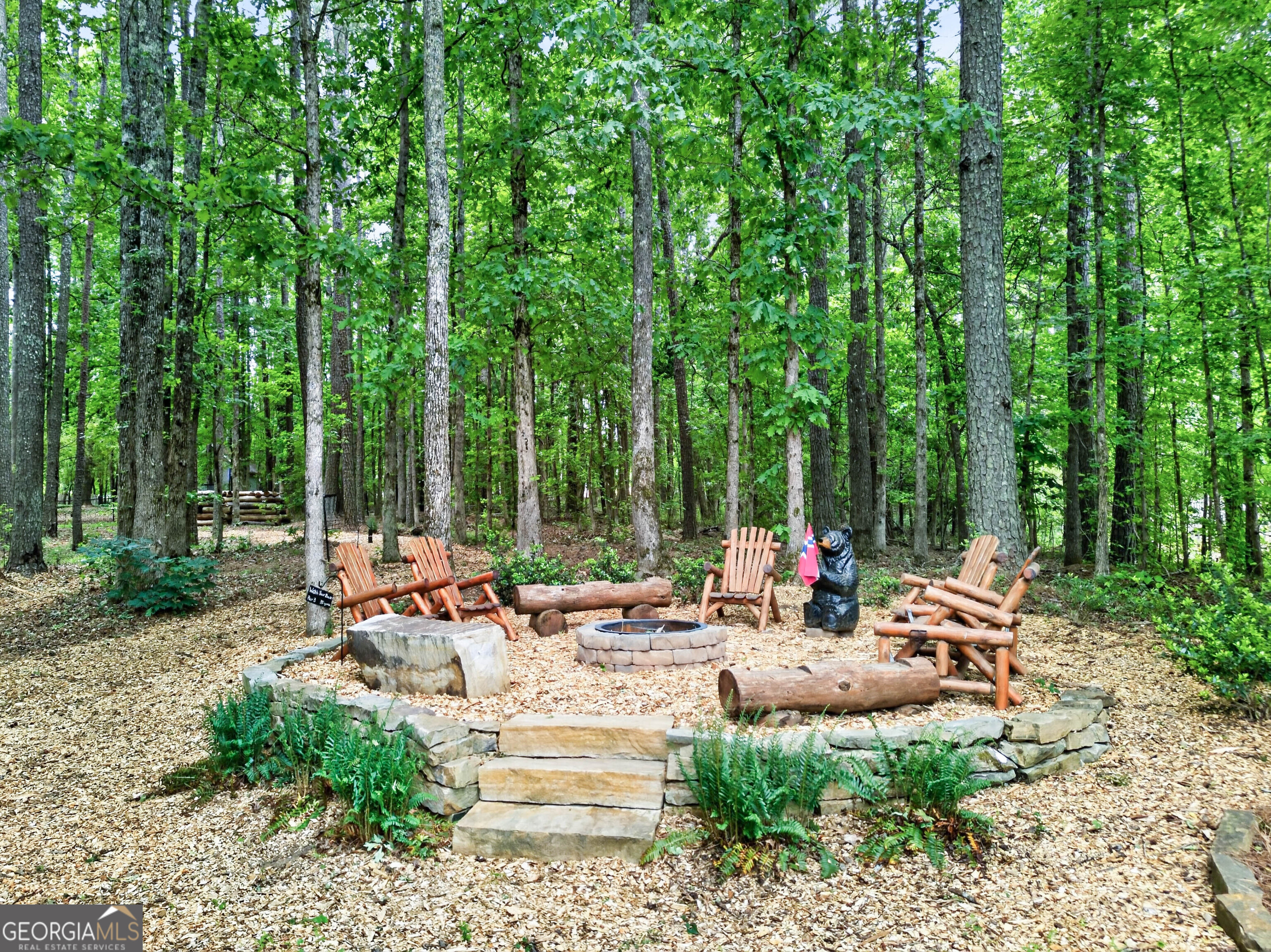 245 Ryans Court Sharpsburg GA 30277