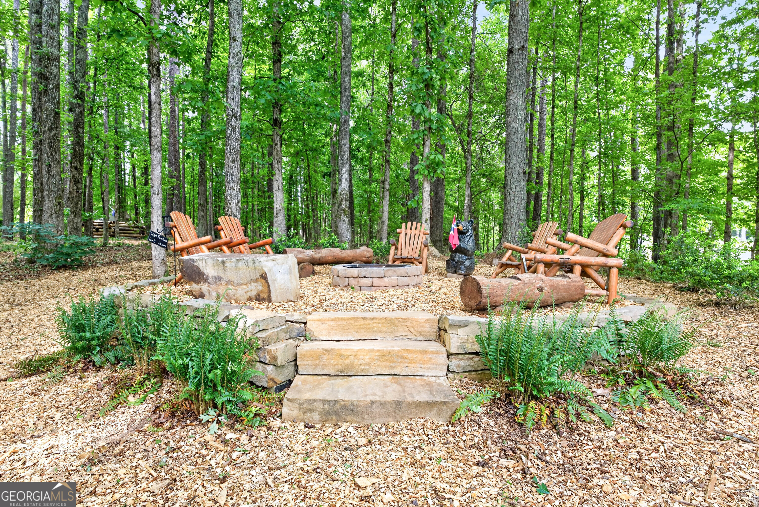245 Ryans Court Sharpsburg GA 30277