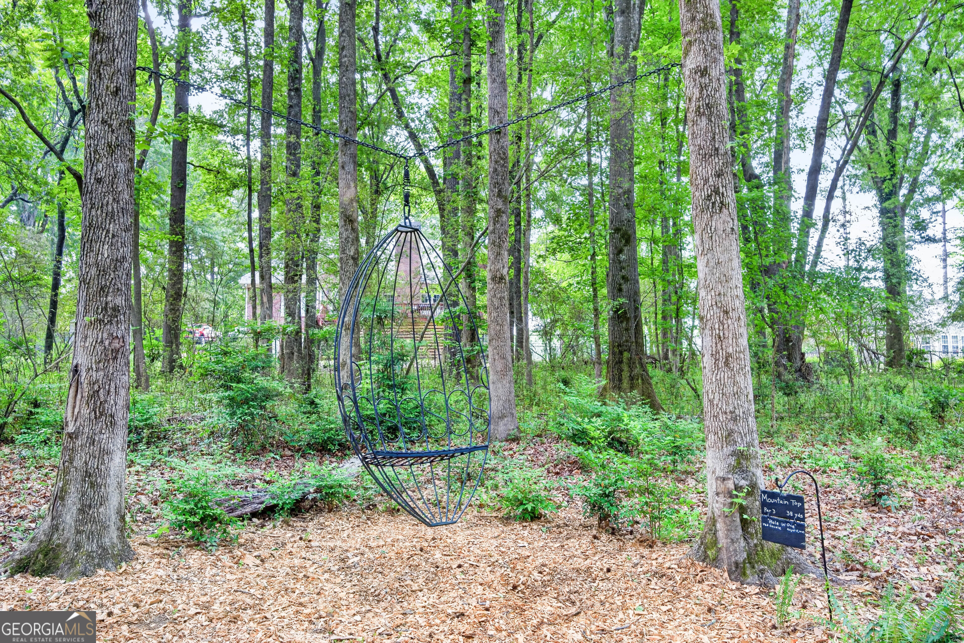 245 Ryans Court Sharpsburg GA 30277