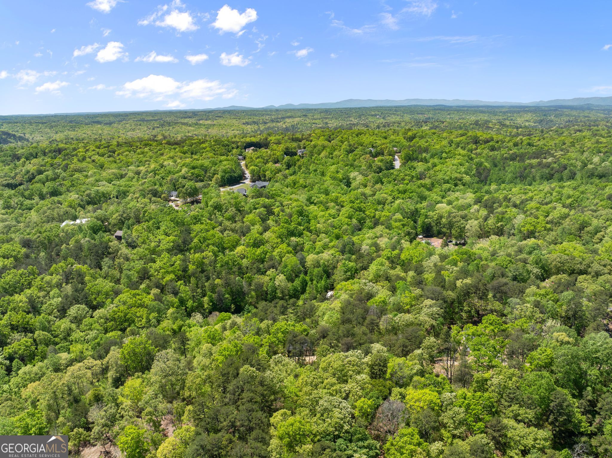2184 Ben Higgins Road Dahlonega GA 30533