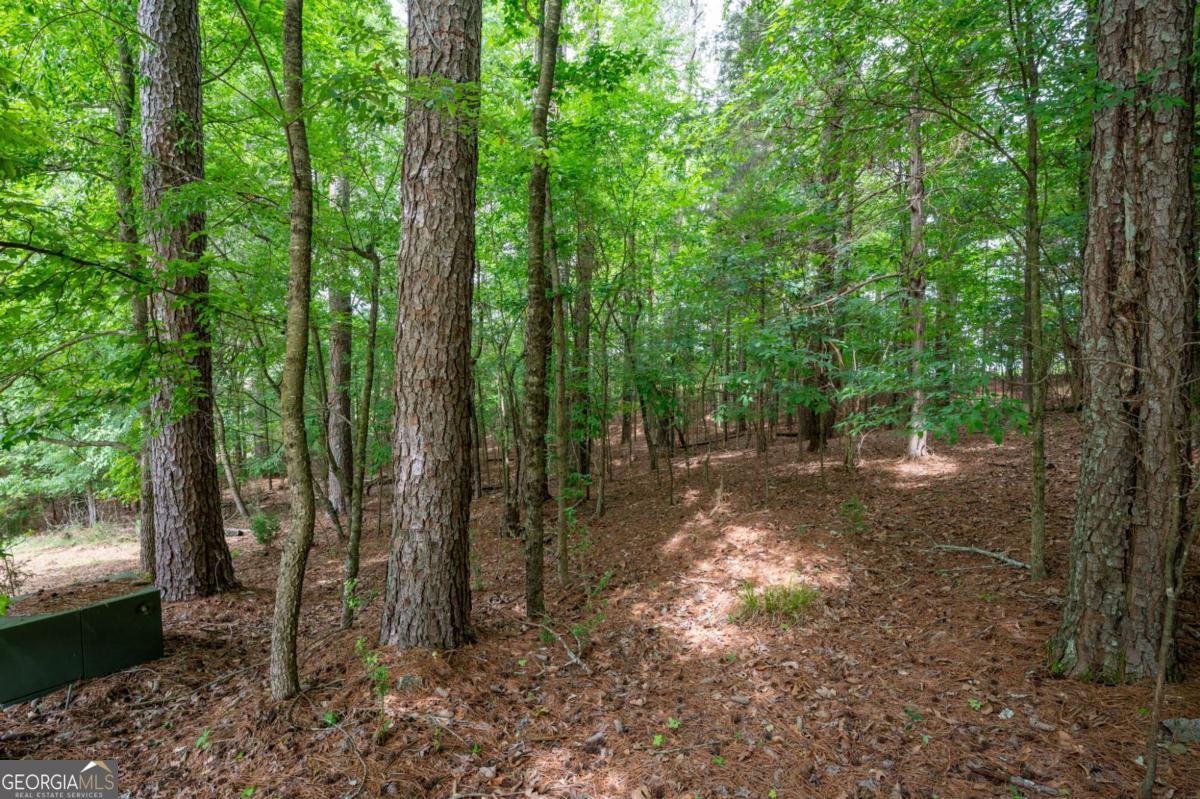 337 Fields Ferry Drive NE Calhoun GA 30701