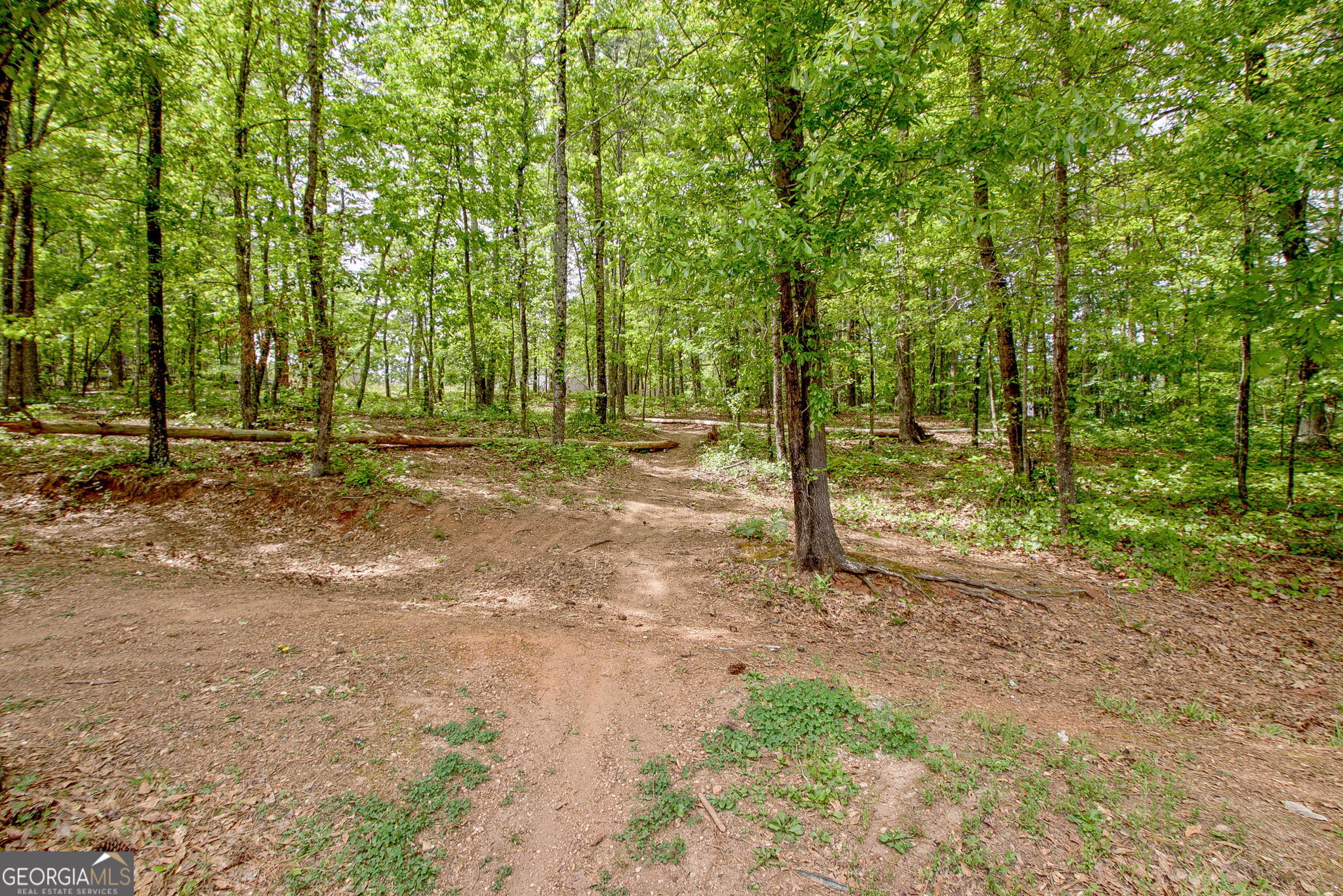 374 Persimmon Drive Sharpsburg GA 30277