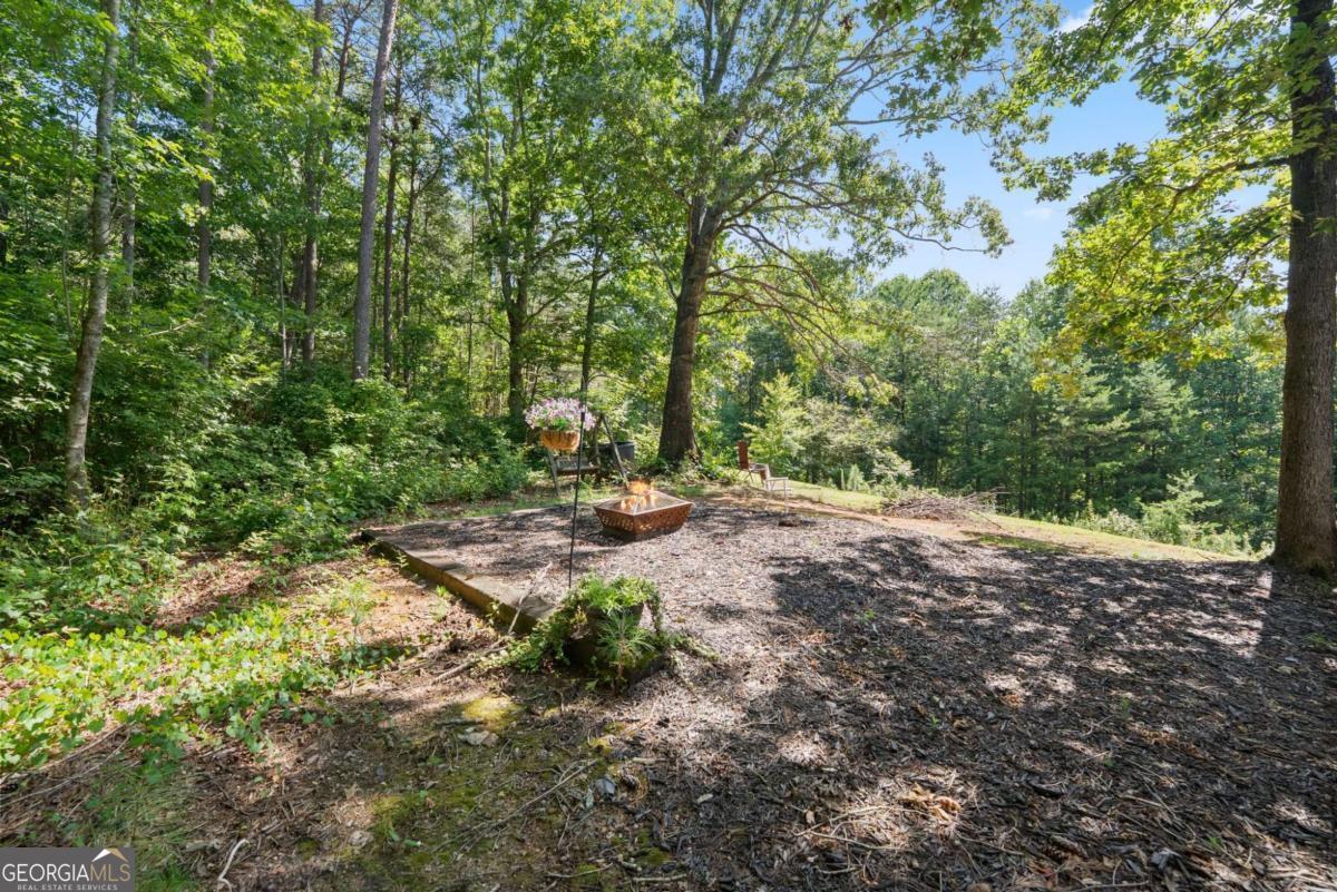 9724 Elliott Family Parkway Dawsonville GA 30536