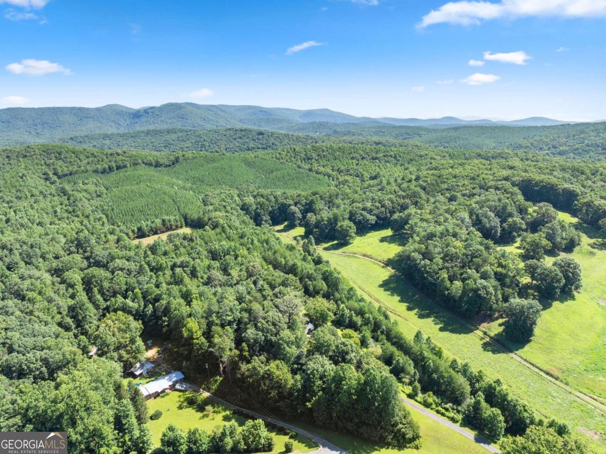 9724 Elliott Family Parkway Dawsonville GA 30536
