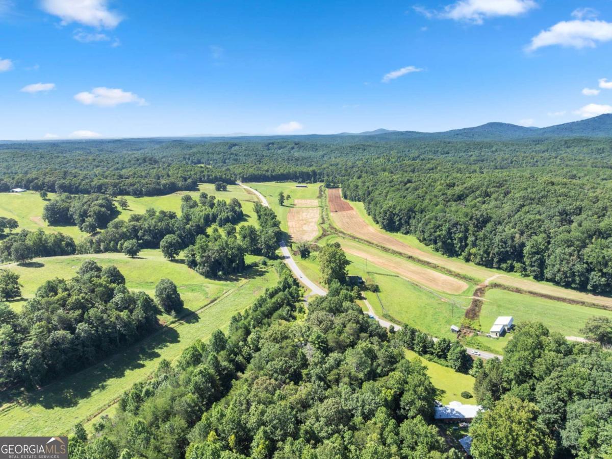 9724 Elliott Family Parkway Dawsonville GA 30536