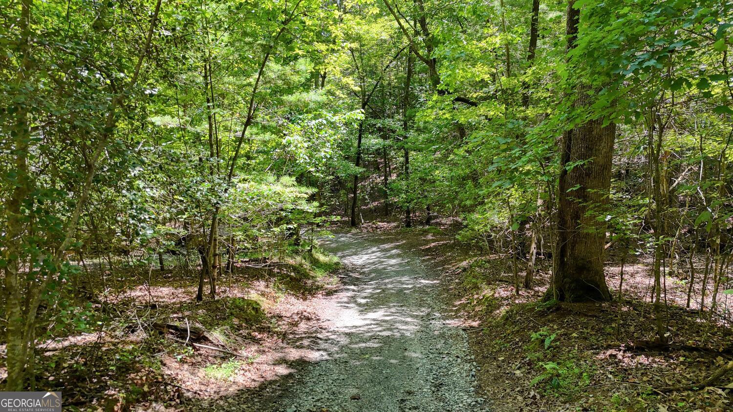 243 Chattahoochee Acres Drive Cleveland GA 30528