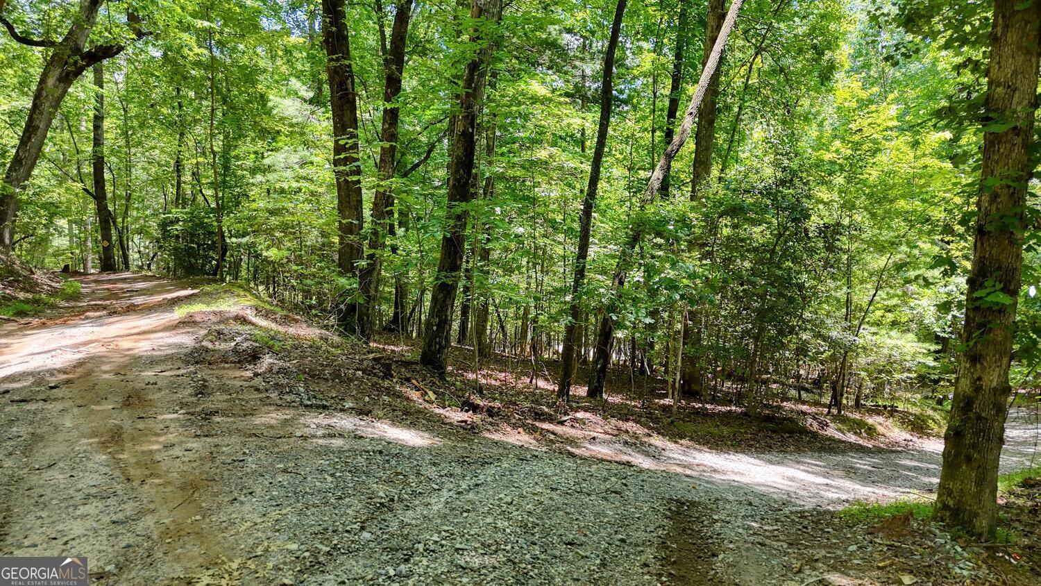 243 Chattahoochee Acres Drive Cleveland GA 30528