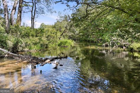 7925 State Highway 60 Suches GA 30572