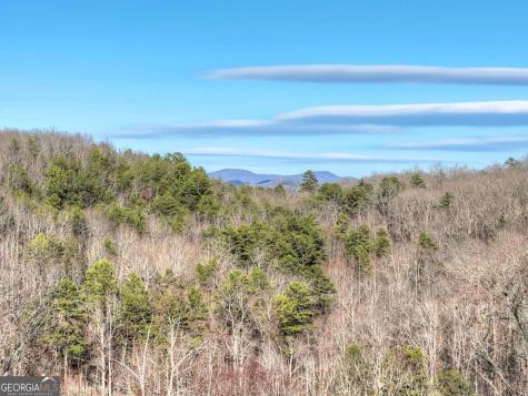 315 River Retreat Road Blue Ridge GA 30513