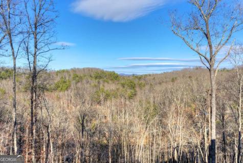 315 River Retreat Road Blue Ridge GA 30513