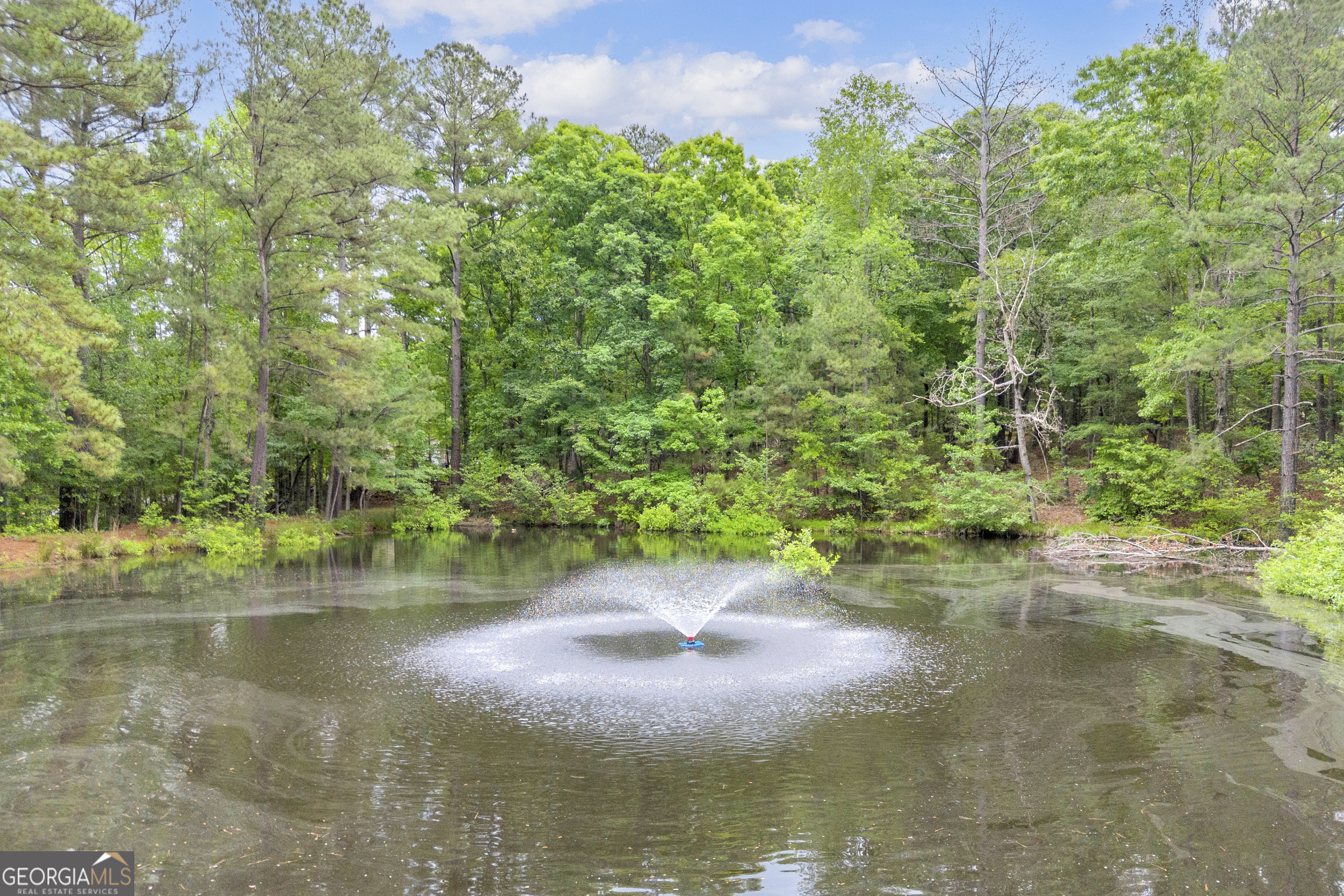 1597 Mercier Road Lincolnton GA 30817