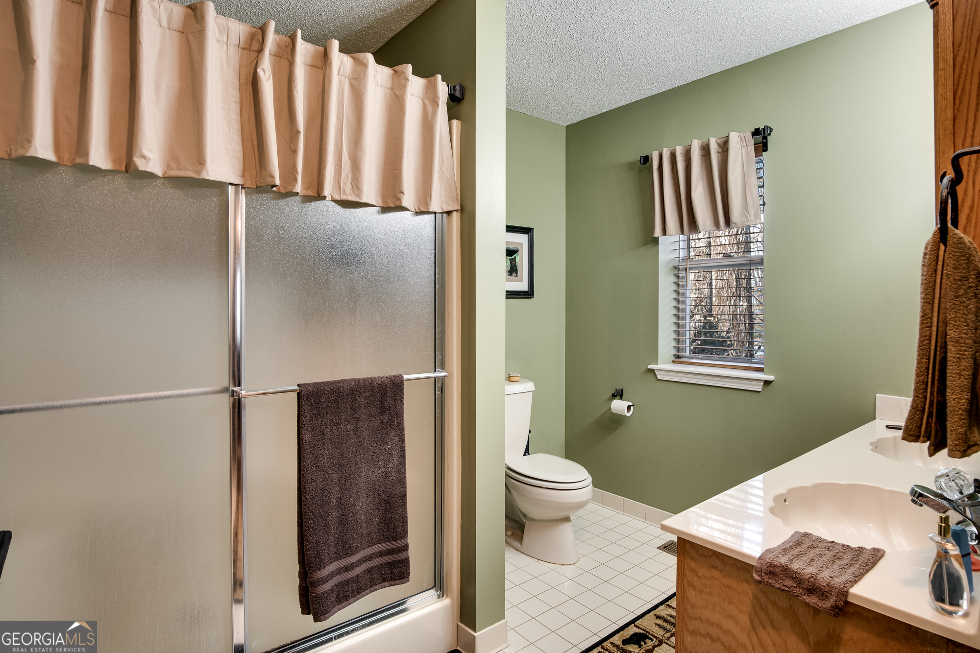 2379 Ridgepole Drive Sky Valley GA 30537