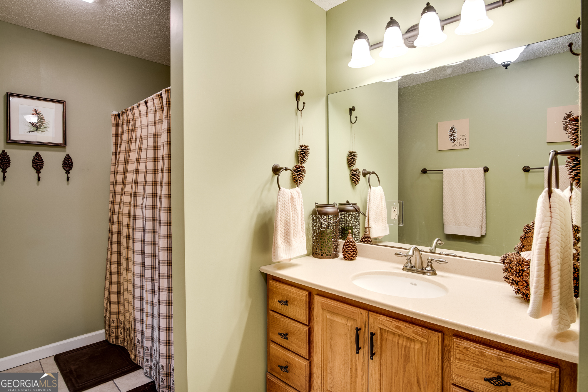 2379 Ridgepole Drive Sky Valley GA 30537