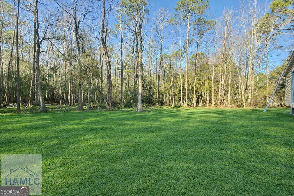 16 Joshua Way Allenhurst GA 31301
