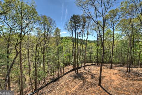 394 Blackberry Circle Ellijay GA 30536