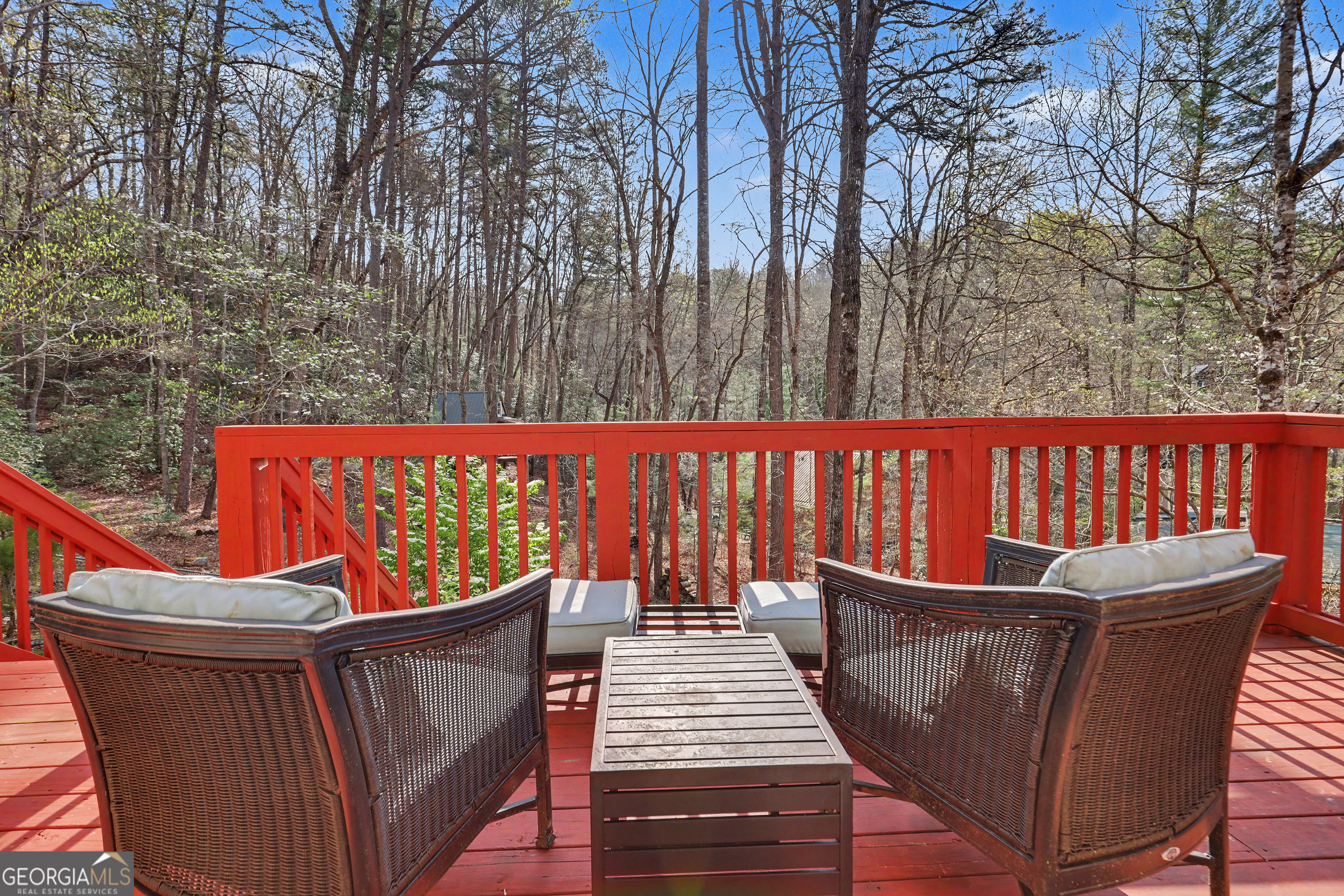 82 Buckeye Lane Clayton GA 30525