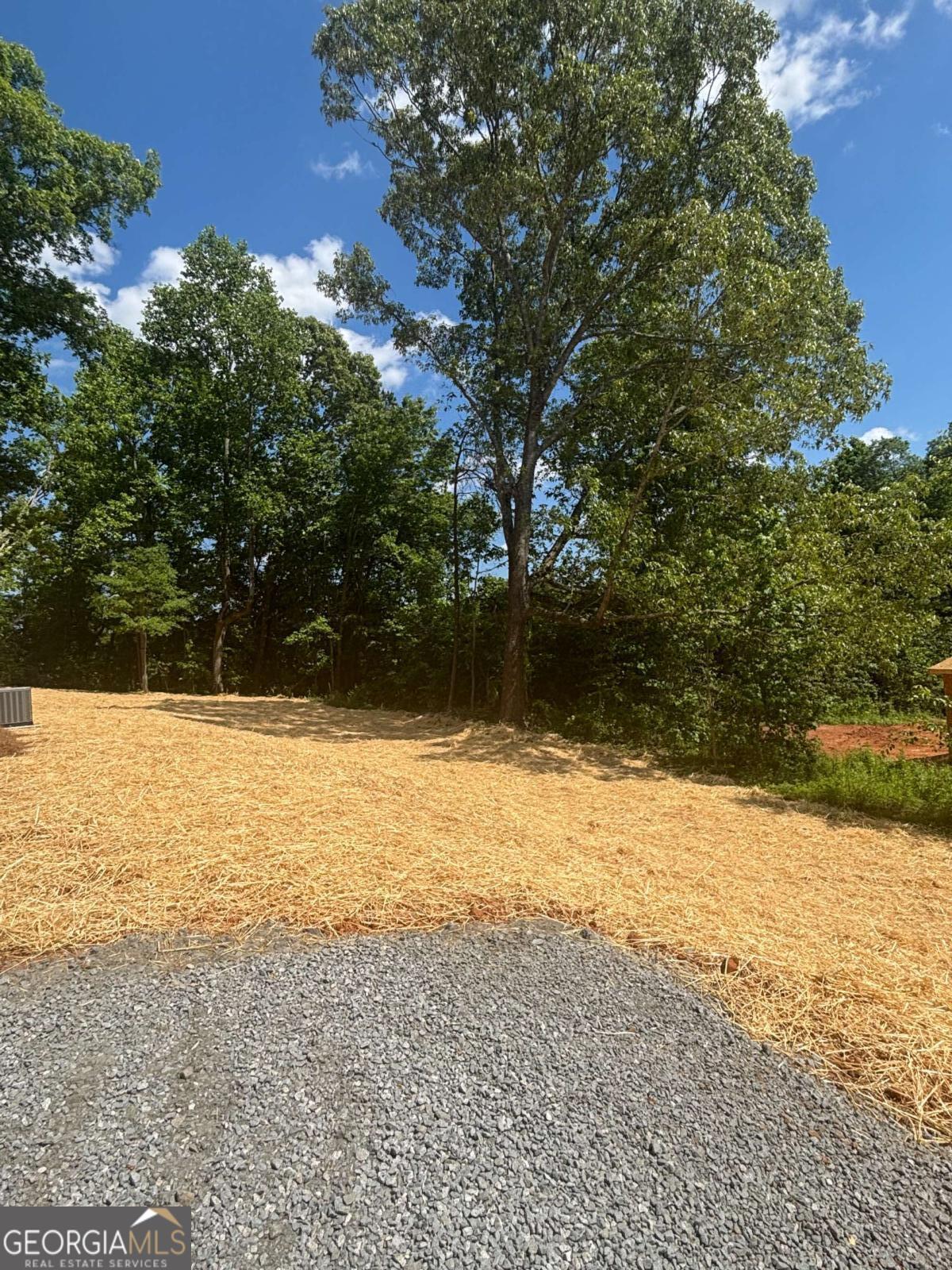 60 Olive Branch Lane Dahlonega GA 30533