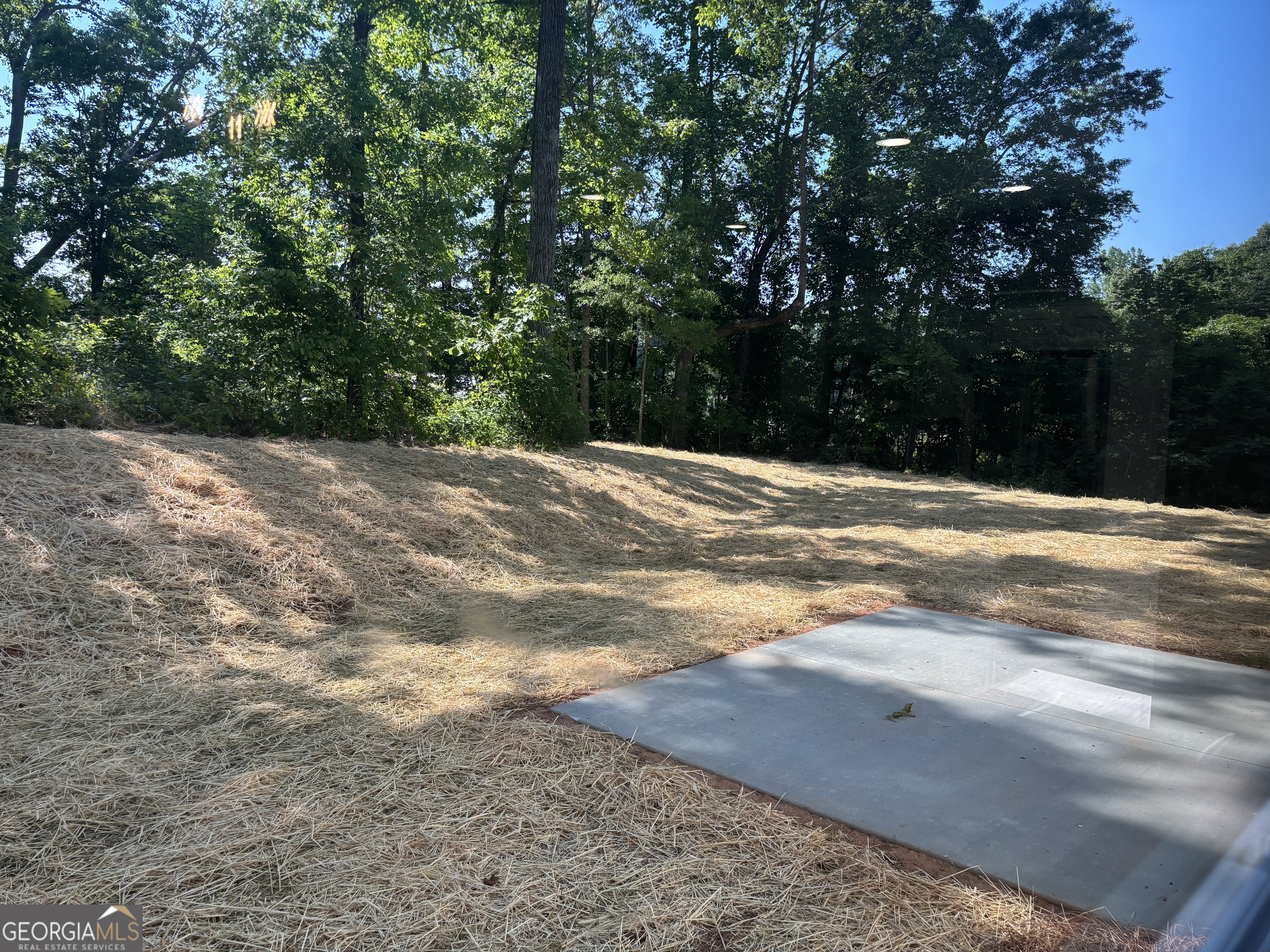 60 Olive Branch Lane Dahlonega GA 30533
