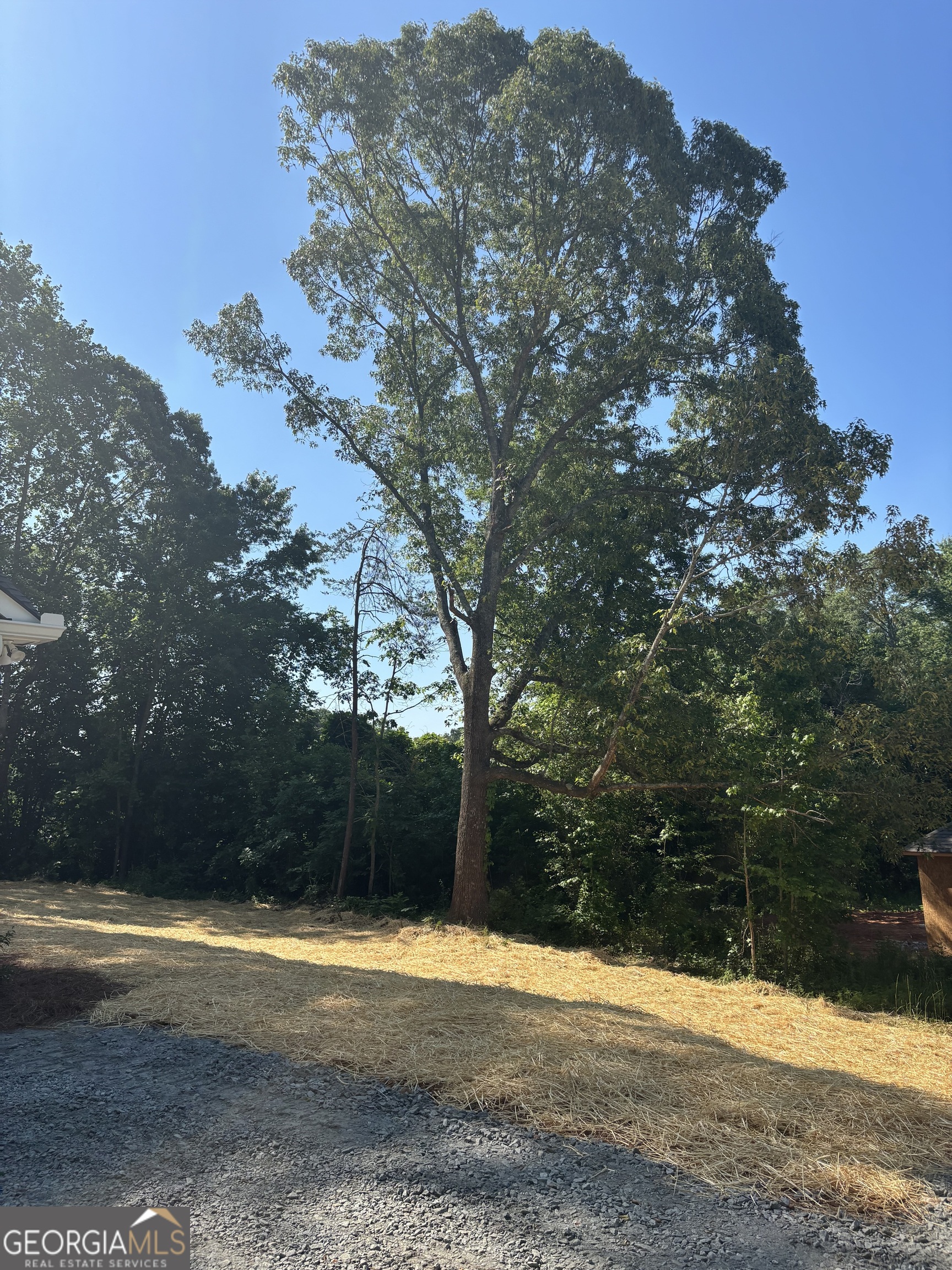 60 Olive Branch Lane Dahlonega GA 30533