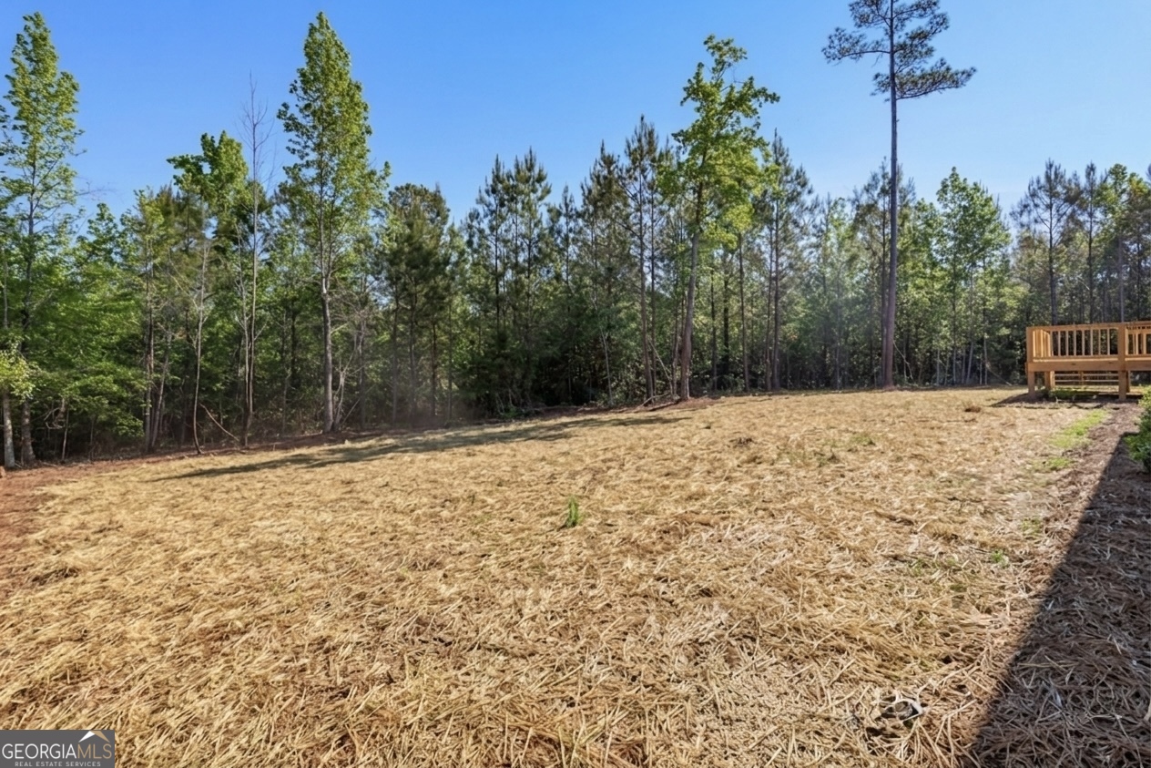 3741 Triune Mill Road Thomaston GA 30286