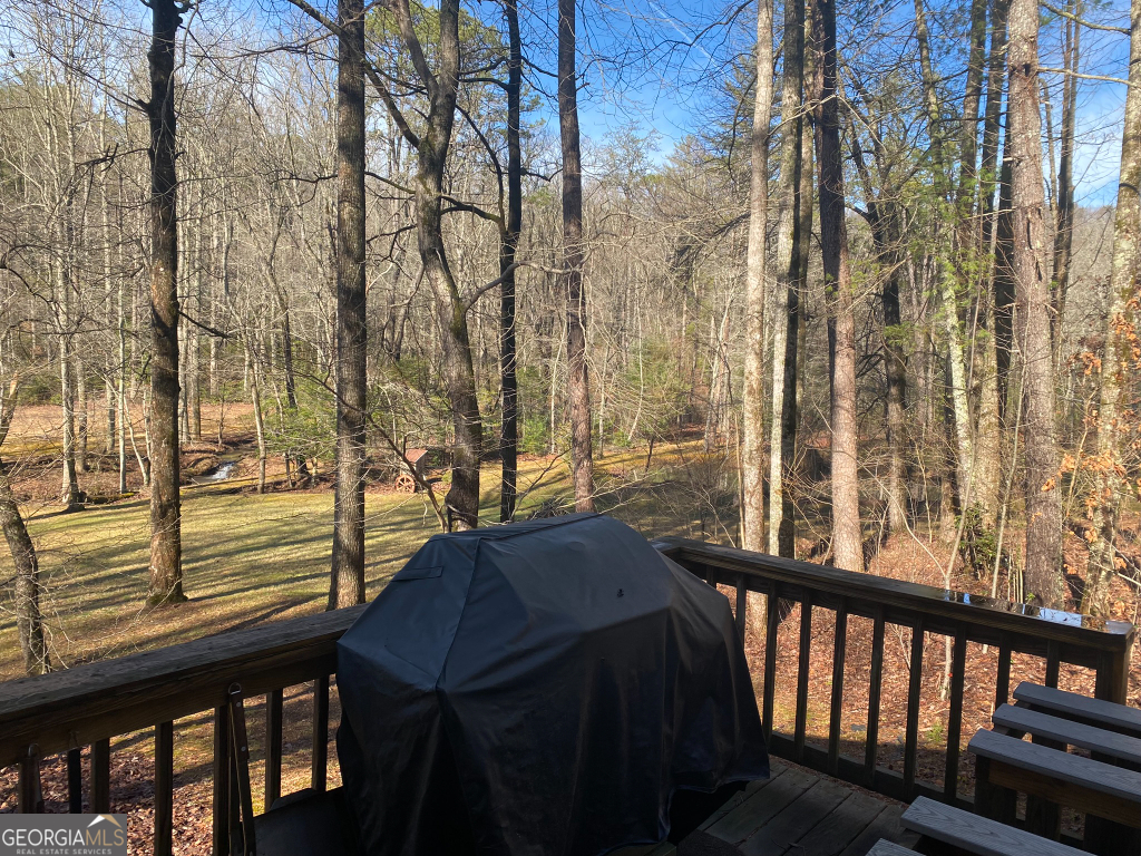 2594 Blue Ridge Gap Road Clayton GA 30525