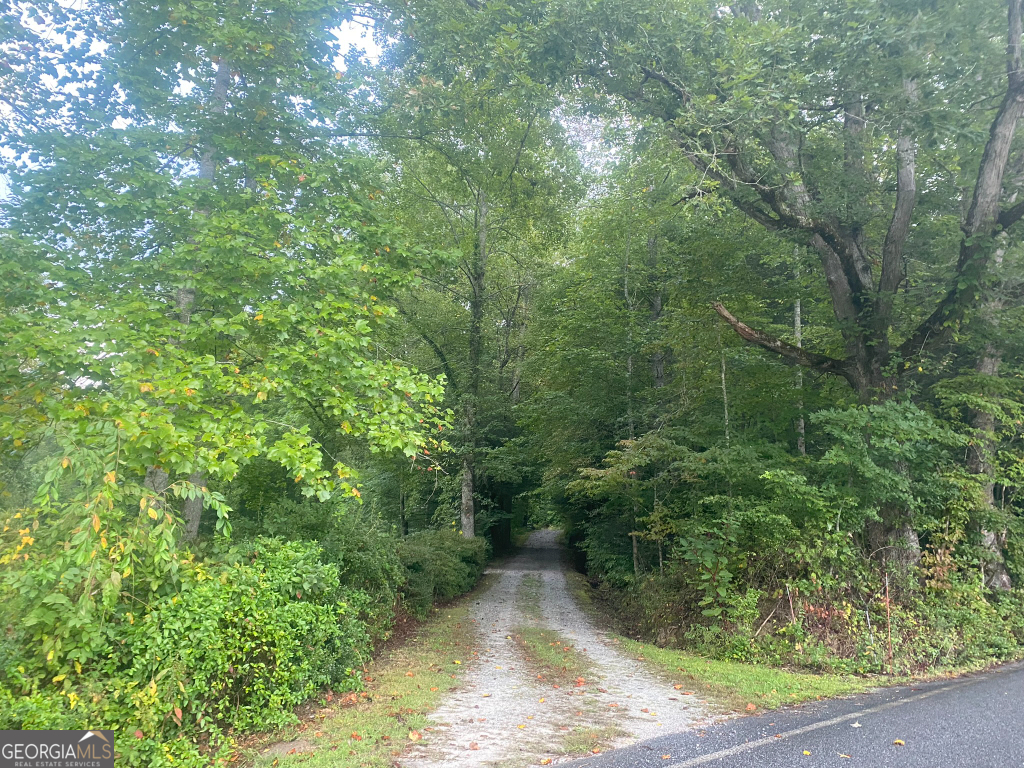 2594 Blue Ridge Gap Road Clayton GA 30525