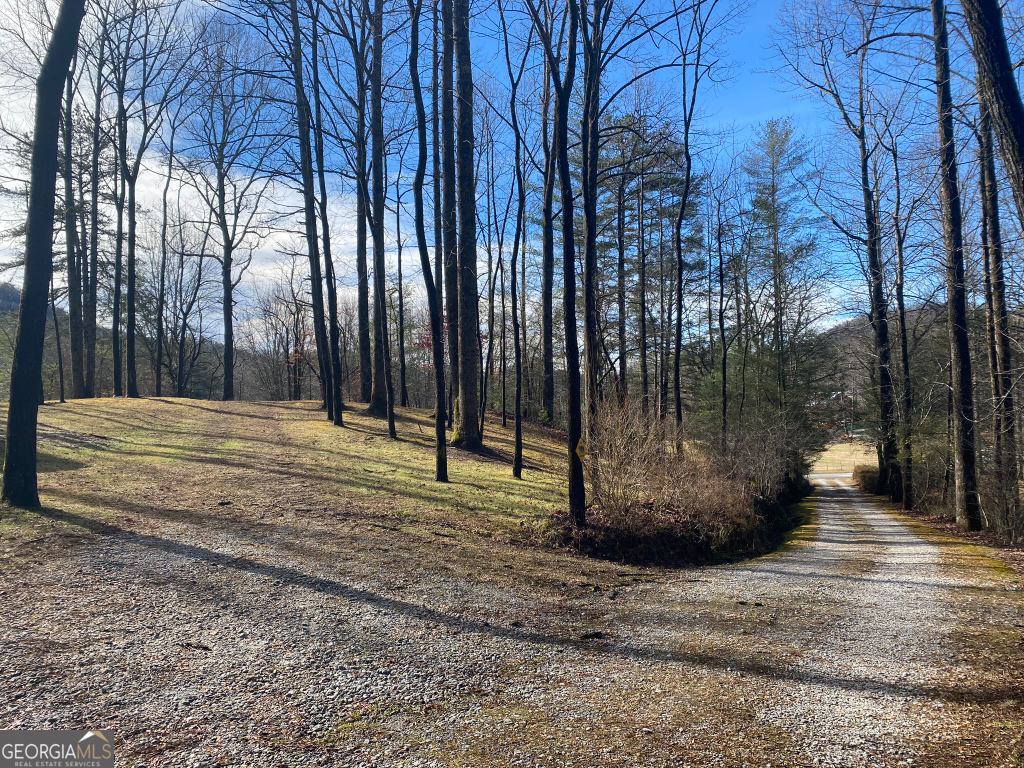 2594 Blue Ridge Gap Road Clayton GA 30525