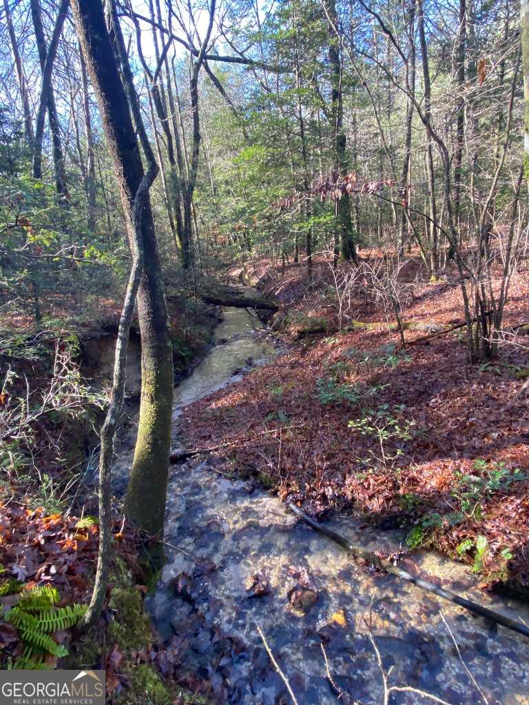 2594 Blue Ridge Gap Road Clayton GA 30525