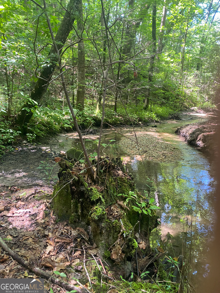 2594 Blue Ridge Gap Road Clayton GA 30525