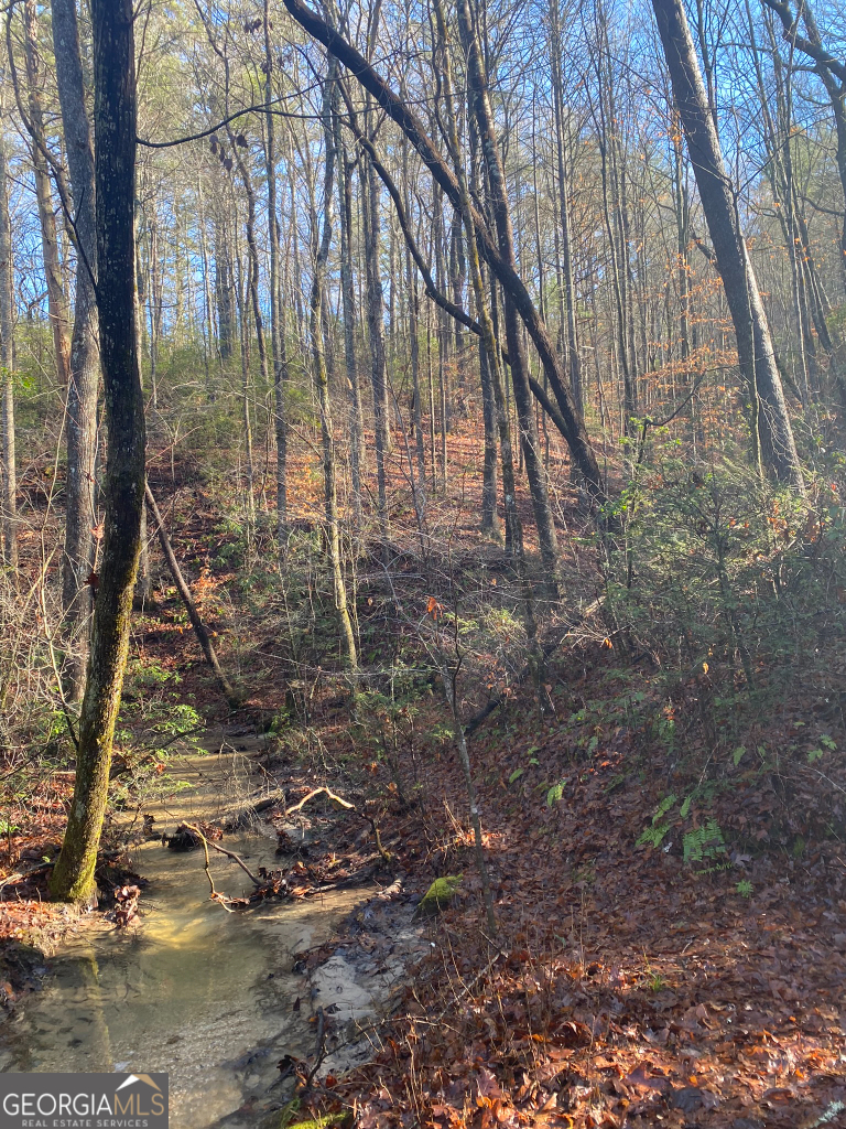 2594 Blue Ridge Gap Road Clayton GA 30525
