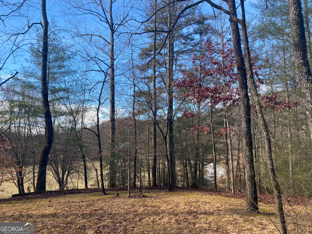 2594 Blue Ridge Gap Road Clayton GA 30525