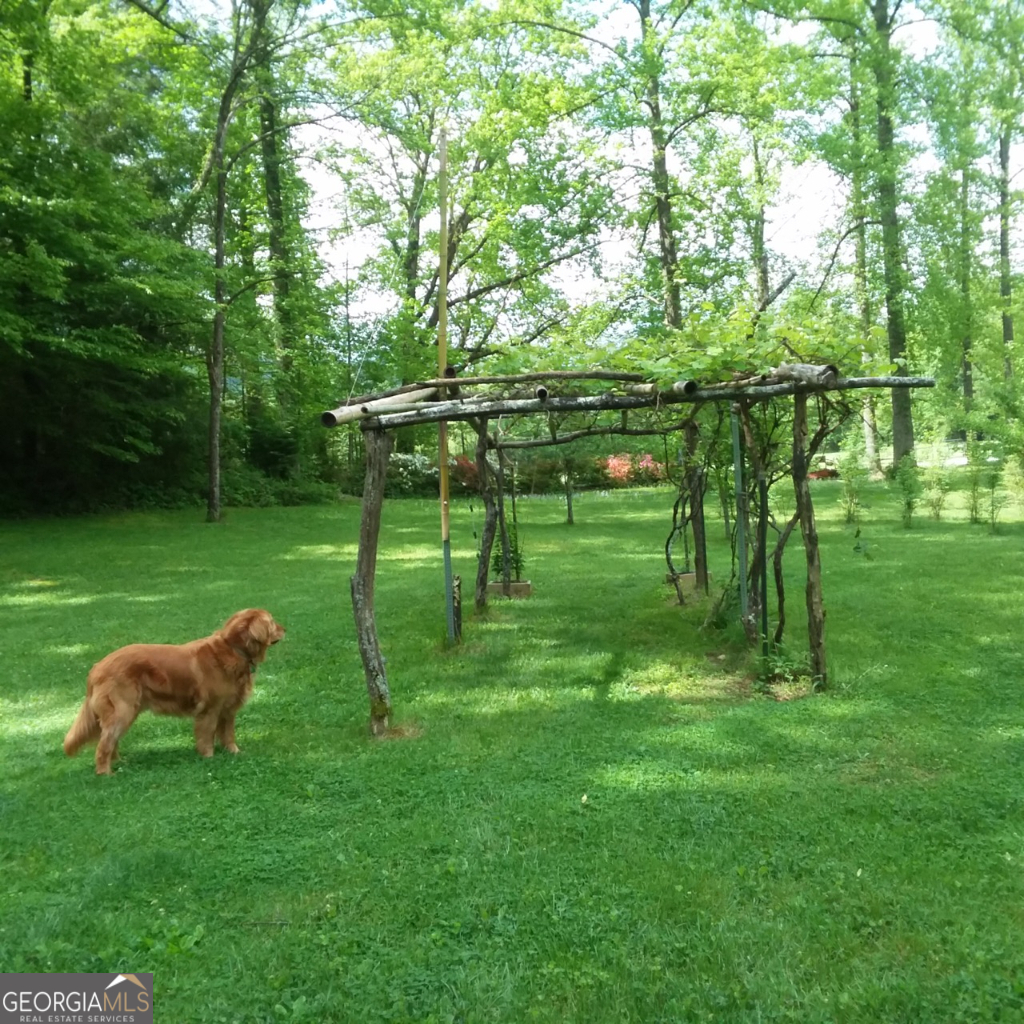 2594 Blue Ridge Gap Road Clayton GA 30525