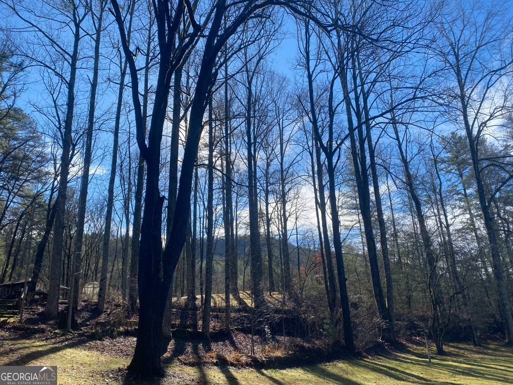 2594 Blue Ridge Gap Road Clayton GA 30525