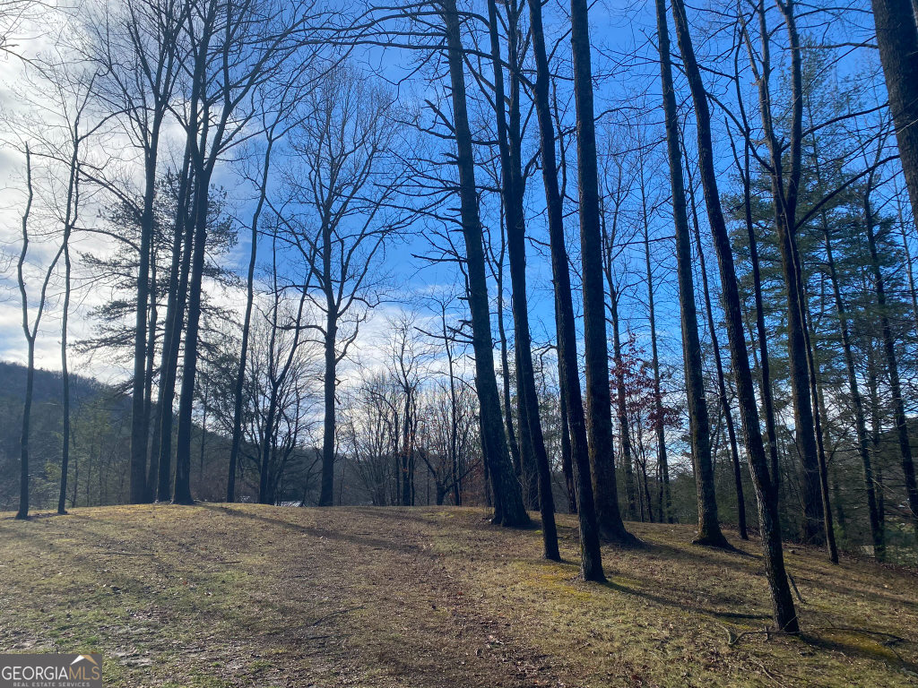 2594 Blue Ridge Gap Road Clayton GA 30525