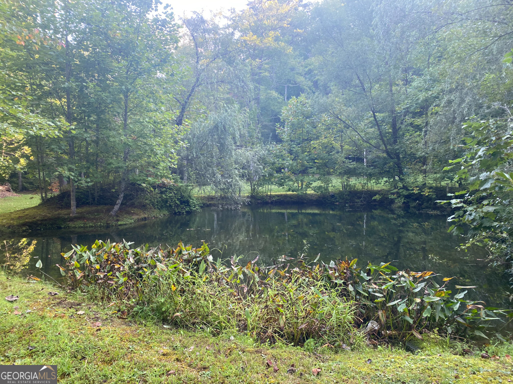 2594 Blue Ridge Gap Road Clayton GA 30525