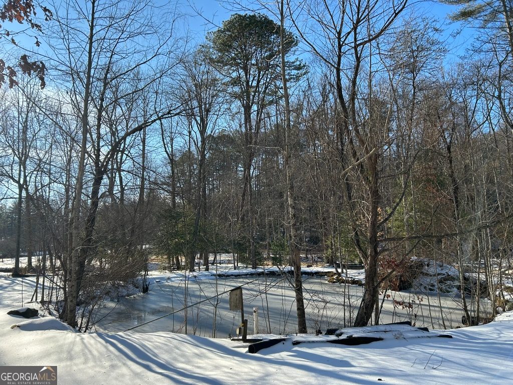 2594 Blue Ridge Gap Road Clayton GA 30525