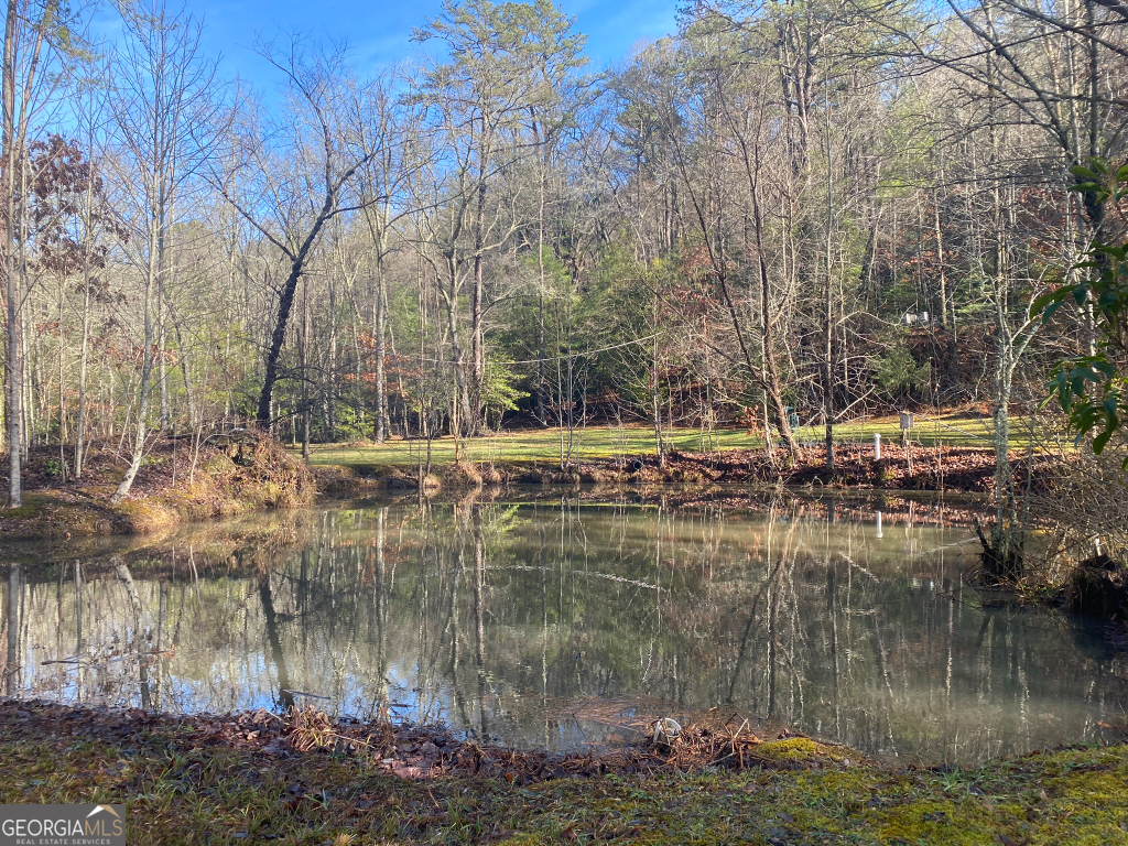 2594 Blue Ridge Gap Road Clayton GA 30525