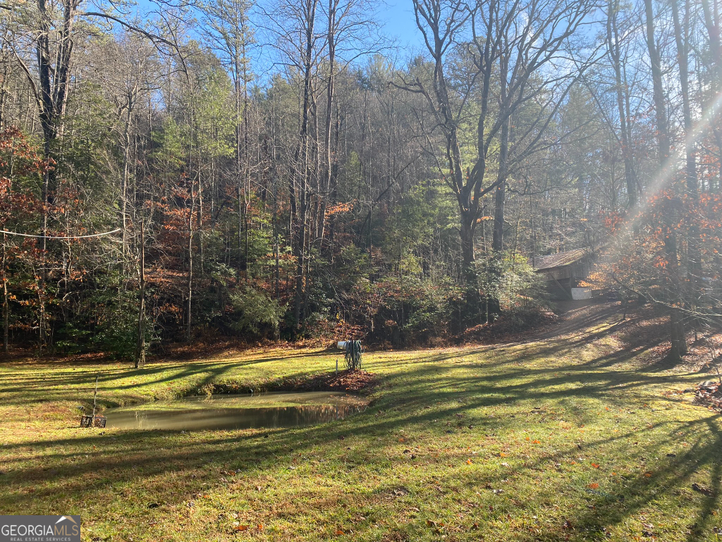 2594 Blue Ridge Gap Road Clayton GA 30525