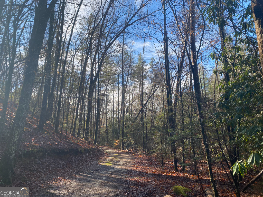 2594 Blue Ridge Gap Road Clayton GA 30525