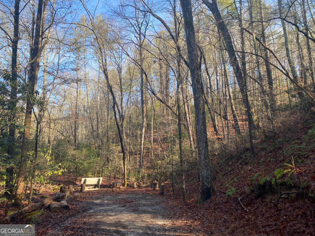 2594 Blue Ridge Gap Road Clayton GA 30525